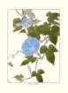 photo17_small.jpg