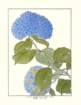 photo8_small.jpg