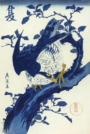 photo30.jpg