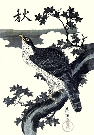 photo34.jpg
