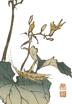 photo7.jpg