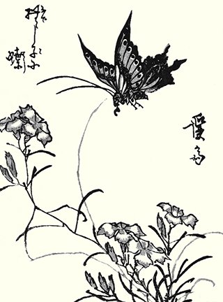 photo9.jpg