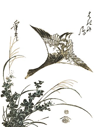 photo9.jpg