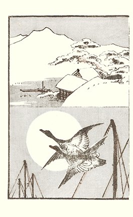 photo3.jpg