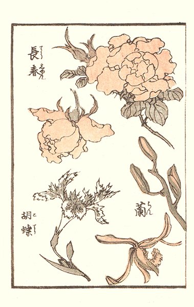 photo16.jpg