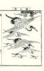 photo15_small.jpg