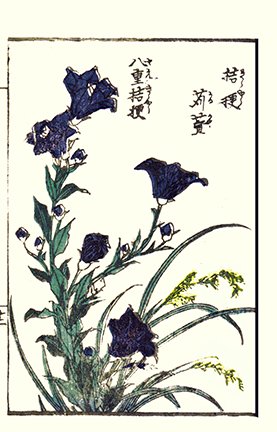photo21.jpg