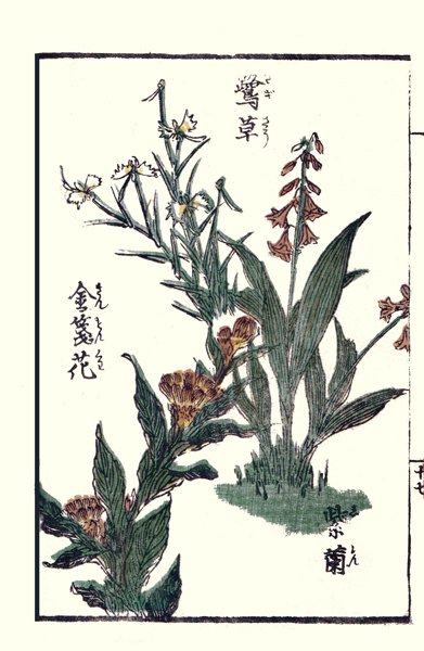 photo32.jpg