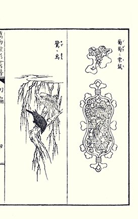 photo.jpg