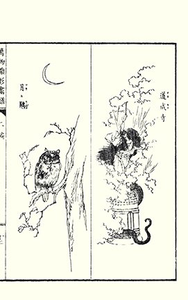 photo21.jpg