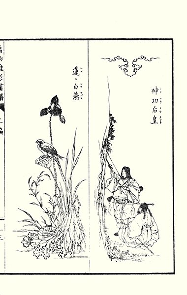 photo23.jpg