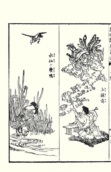 photo26.jpg