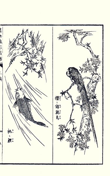 photo39.jpg
