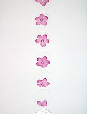 photo12.jpg