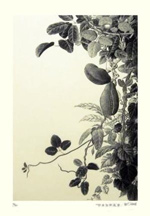 photo12.jpg