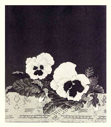 photo20.jpg