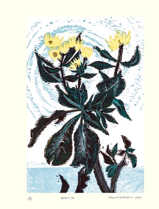 photo7.jpg