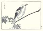 photo13_small.jpg