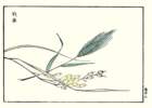 photo4_small.jpg