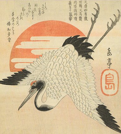 photo7.jpg