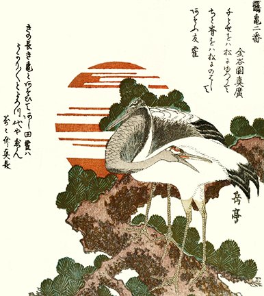 photo8.jpg