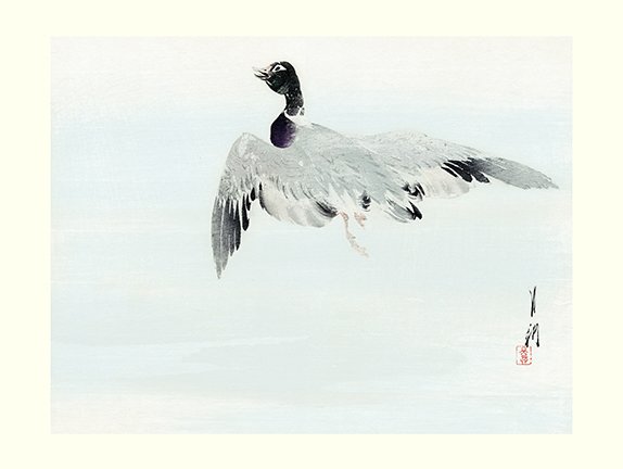photo18.jpg
