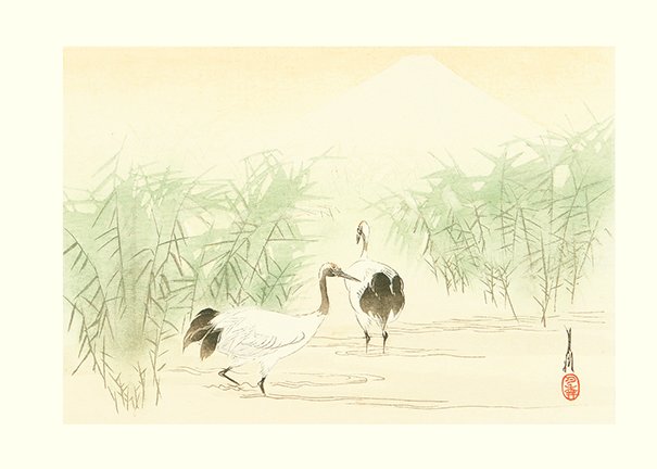 photo19.jpg