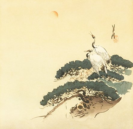 photo7.jpg