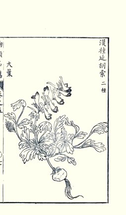 photo11.jpg