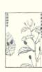photo14_small.jpg