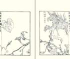 photo20_small.jpg