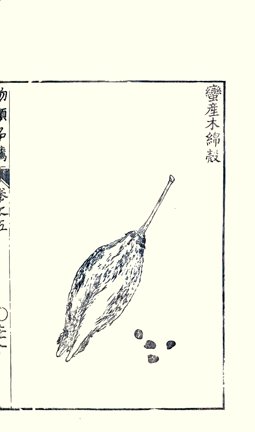 photo34.jpg