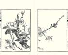 photo12_small.jpg