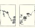 photo13_small.jpg