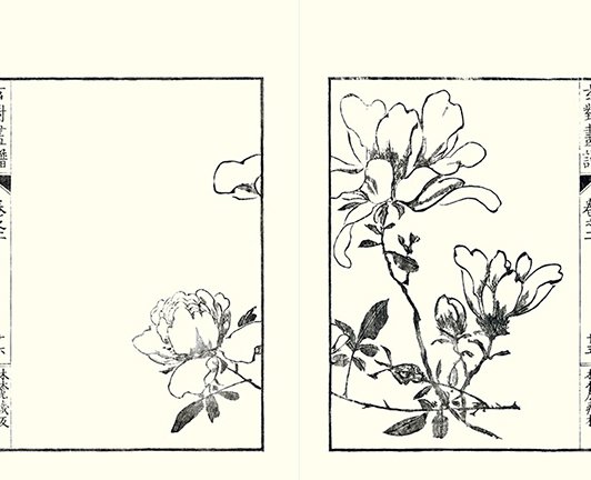 photo14.jpg
