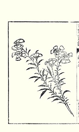 photo16.jpg