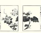 photo20_small.jpg
