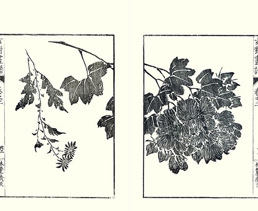 photo22.jpg