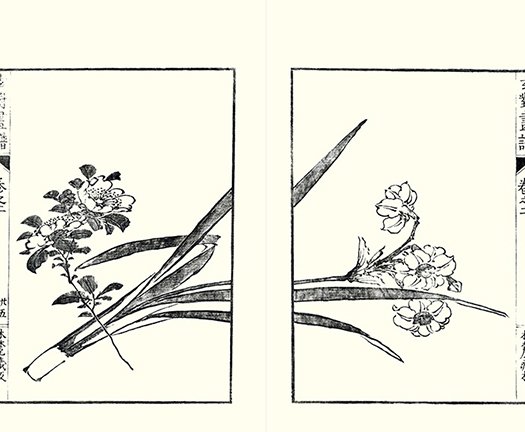 photo24.jpg
