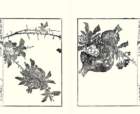 photo7_small.jpg