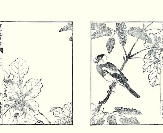 photo9.jpg