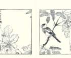 photo9_small.jpg