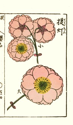 photo39.jpg