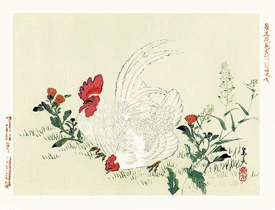 photo8.jpg
