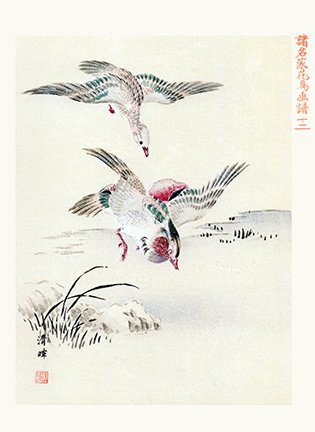 photo12.jpg
