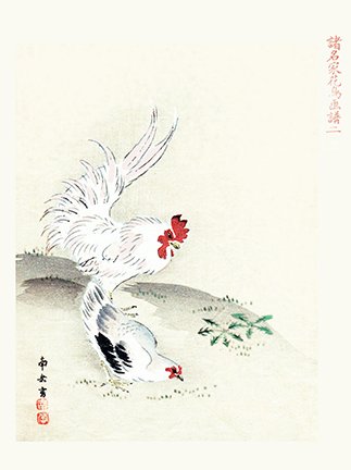 photo2.jpg