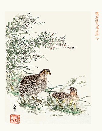 photo7.jpg
