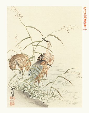 photo10.jpg