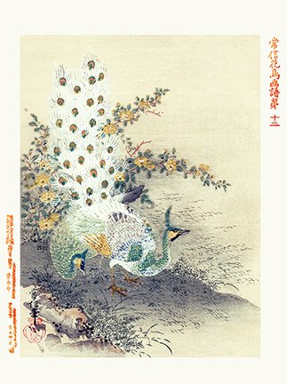 photo12.jpg