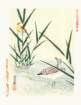 photo5_small.jpg